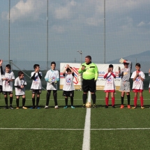 IMG_1186 IMG_1186