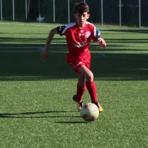 IMG_1192 IMG_1192