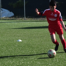 IMG_1193 IMG_1193