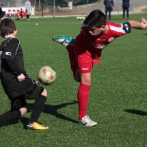 IMG_1196 IMG_1196