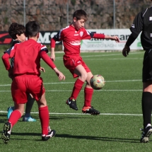 IMG_1197 IMG_1197