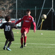 IMG_1201 IMG_1201