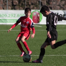 IMG_1208 IMG_1208