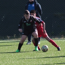IMG_1209 IMG_1209