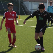 IMG_1210 IMG_1210