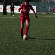 IMG_1235 IMG_1235