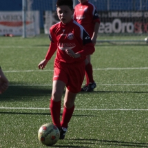 IMG_1237 IMG_1237