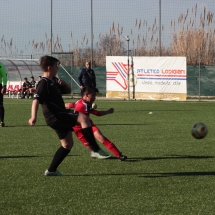 IMG_1239 IMG_1239