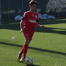 IMG_1240 IMG_1240