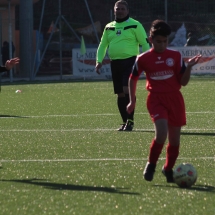 IMG_1245 IMG_1245