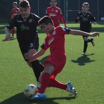 IMG_1248 IMG_1248