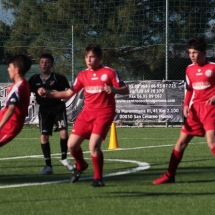 IMG_1255 IMG_1255