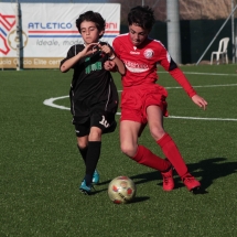 IMG_1262 IMG_1262