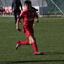 IMG_1269 IMG_1269