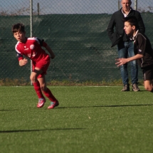 IMG_1272 IMG_1272