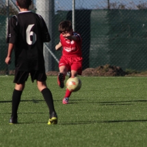 IMG_1273 IMG_1273