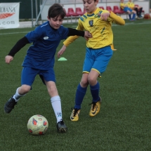 IMG_1275 IMG_1275