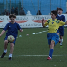 IMG_1286 IMG_1286