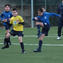 IMG_1290 IMG_1290
