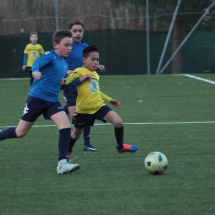 IMG_1293 IMG_1293