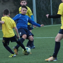 IMG_1305 IMG_1305
