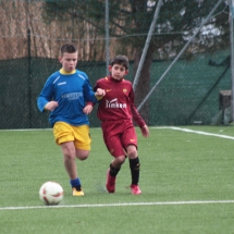 IMG_1706 IMG_1706