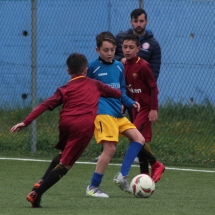 IMG_1724 IMG_1724