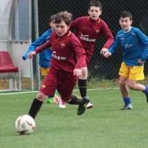 IMG_1727 IMG_1727