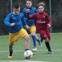 IMG_1729 IMG_1729