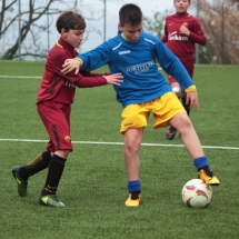 IMG_1739 IMG_1739