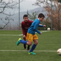 IMG_1741 IMG_1741