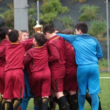 IMG_1785 IMG_1785