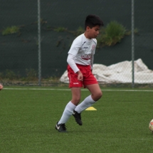 IMG_2066 IMG_2066