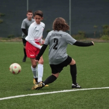 IMG_2072 IMG_2072