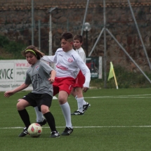 IMG_2099 IMG_2099