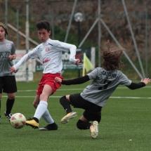 IMG_2102 IMG_2102