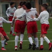 IMG_2117 IMG_2117