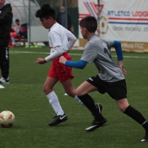 IMG_2124 IMG_2124
