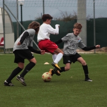 IMG_2136 IMG_2136