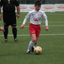 IMG_2137 IMG_2137