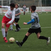 IMG_2143 IMG_2143