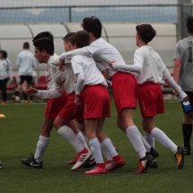 IMG_2147 IMG_2147