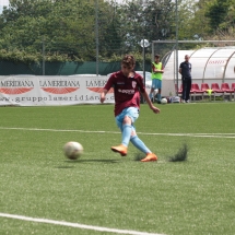 IMG_5123 IMG_5123