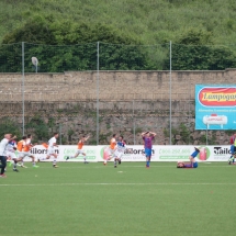 IMG_5215 IMG_5215