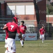 IMG_4193 IMG_4193