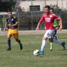 IMG_4201 IMG_4201