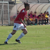 IMG_4210 IMG_4210