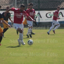 IMG_4212 IMG_4212