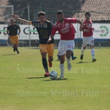 IMG_4213 IMG_4213