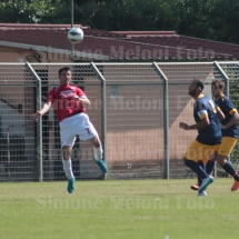 IMG_4219 IMG_4219